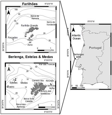 Mapping elasmobranch occurrences and overlap with human activities using local knowledge and non-invasive sampling to identify areas of potential conflict